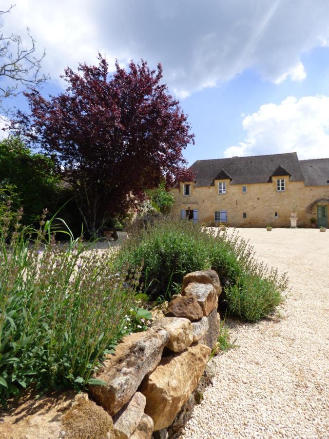 Bed and Breakfast Britavit Saint-Avit-Sénieur Exterior foto