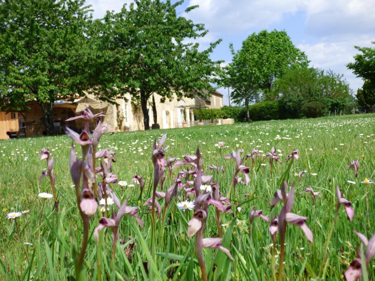 Bed and Breakfast Britavit Saint-Avit-Sénieur Exterior foto