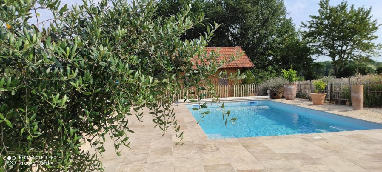 Bed and Breakfast Britavit Saint-Avit-Sénieur Exterior foto