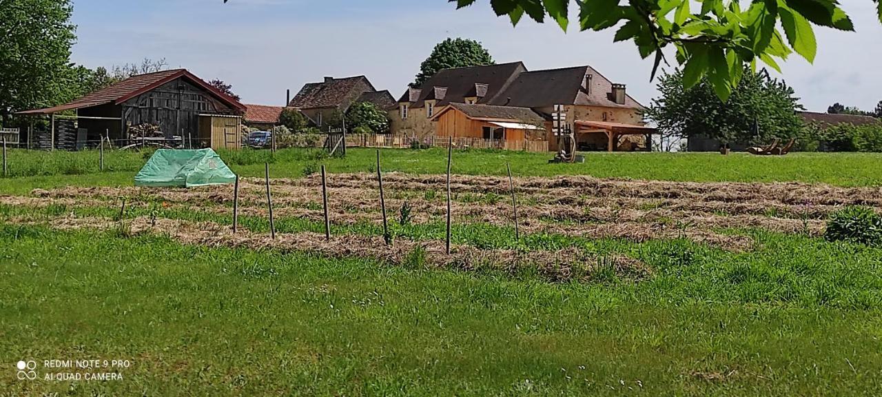 Bed and Breakfast Britavit Saint-Avit-Sénieur Exterior foto