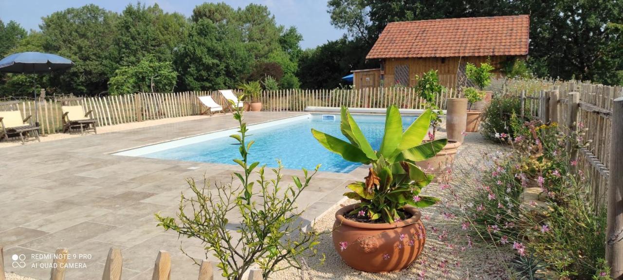 Bed and Breakfast Britavit Saint-Avit-Sénieur Exterior foto